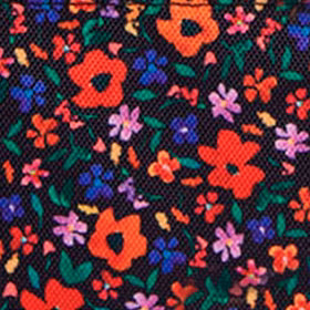 Pochette latérale Indiana State Museum